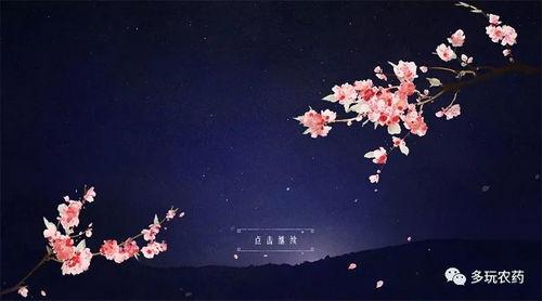 诸葛亮桃花爆料视频,视频爆料背后的历史真相  第1张